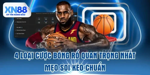 4-loai-cuoc-bong-ro-quan-trong-nhat-and-meo-soi-keo-chuan
